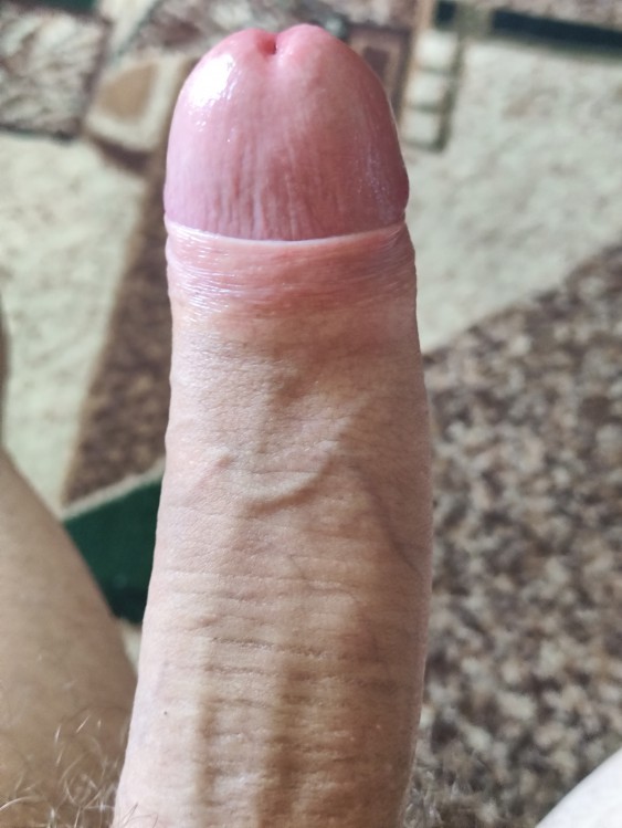 Член